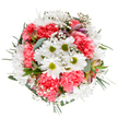 This artfully balanced bouquet captures the spirit of renewal that flows through Woodside Park each spring. At its centre, radiant white daisies, edged in purest moonlight, open amid ruffled coral-pink carnations that lend a playful warmth to the composition. Wisps of baby's breath, light as air and cloudlike in texture, frame the blooms and accentuate the arrangement's rounded fullness. Nestled discreetly, unopened alstroemeria buds hint at grace yet to unfold, their deep rose and purple streaks echoing the wildflowers found along Woodside Park's leafy paths. Eucalyptus leaves in muted silver-green arc between darker foliage, anchoring the bouquet while infusing every breath with the scent of fresh woodland. The overall effect is tranquil yet jubilant-a joyful tribute to milestones or a soul-brightening gift for someone near Holden Road or Friary Park. This design exudes the hands-on skill and creative passion of Woodside Park Florist, making it an ideal choice for delivery, celebrations, or simply honouring the small joys of everyday life in the community.